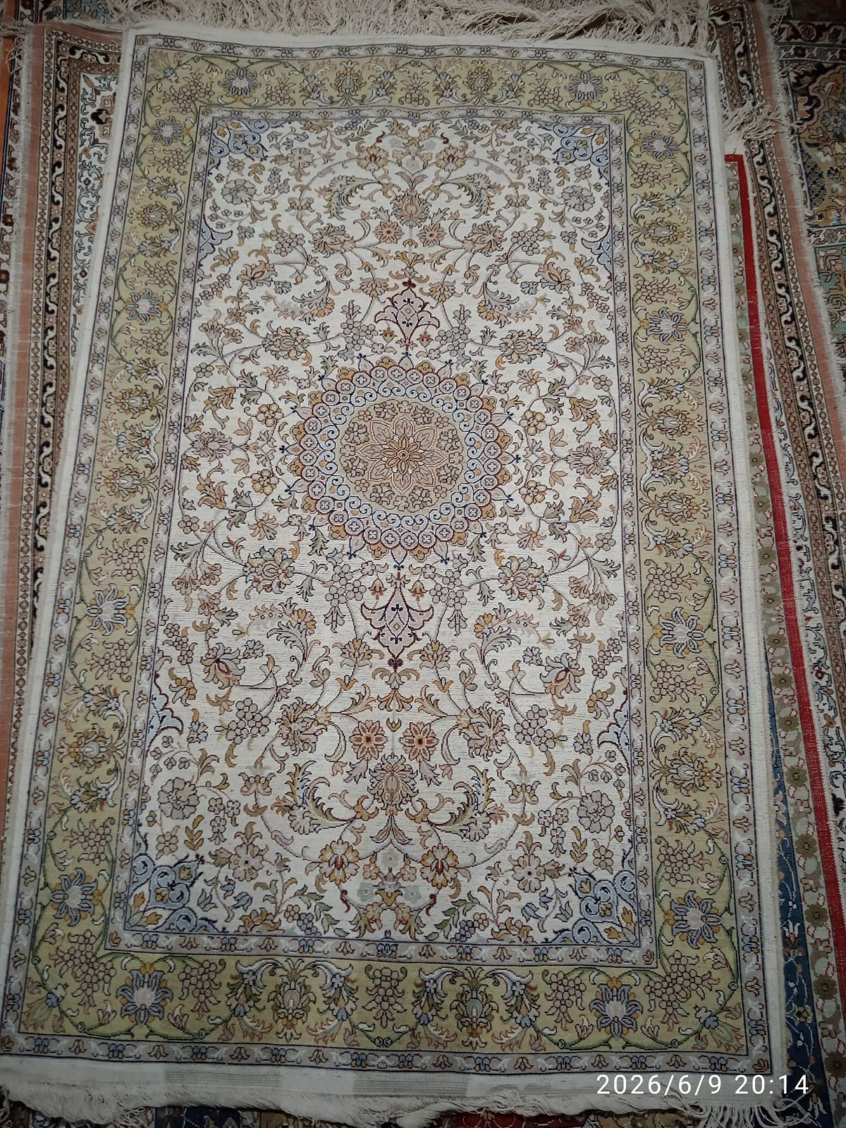Woven Kashmiri carpet 2